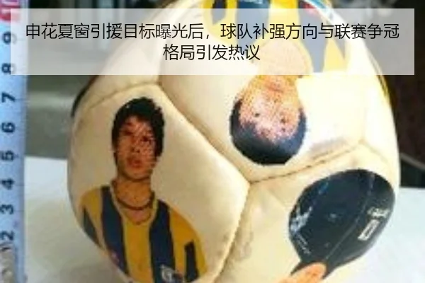 申花夏窗引援目标曝光后，球队补强方向与联赛争冠格局引发热议